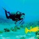 Buceo - Acapulco - Envío Gratuito