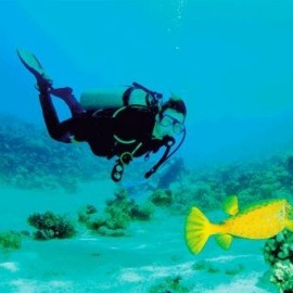 Buceo - Acapulco - Envío Gratuito