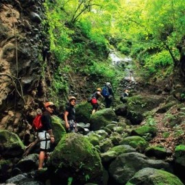 Cañonismo - Cuernavaca - Envío Gratuito
