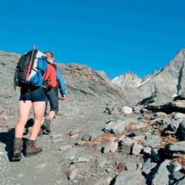Canopy - Huasca - Envío Gratuito