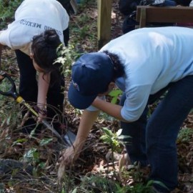 Estancia Revive en Veracruz - Envío Gratuito
