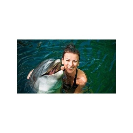 Ixtapa Tour-GUERRERO - Envío Gratuito