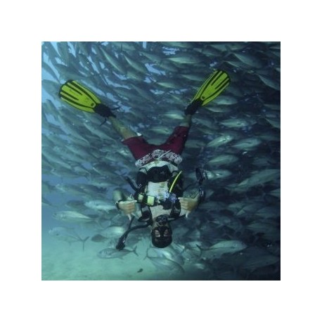 Curso de buceo en Baja California Sur - Envío Gratuito