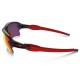 Lentes de sol Oakley Flak 2.0 XL Prizm