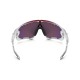 Lentes de sol Oakley Jawbreaker (Tour de France Collection) - Envío Gratuito