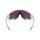 Lentes de sol Oakley Jawbreaker (Tour de France Collection) - Envío Gratuito