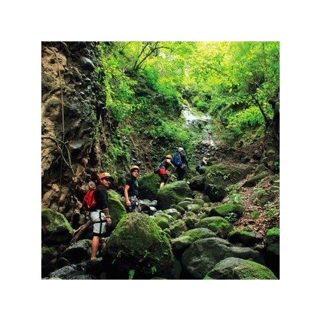 Cañonismo - Cuernavaca - Envío Gratuito
